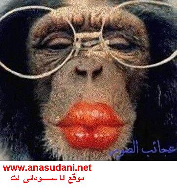 azin